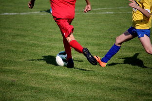 米兰体育官网登录入口-世界马拉松大满贯赛事上海站开跑,世界马拉松大满贯赛事上海站开跑时间